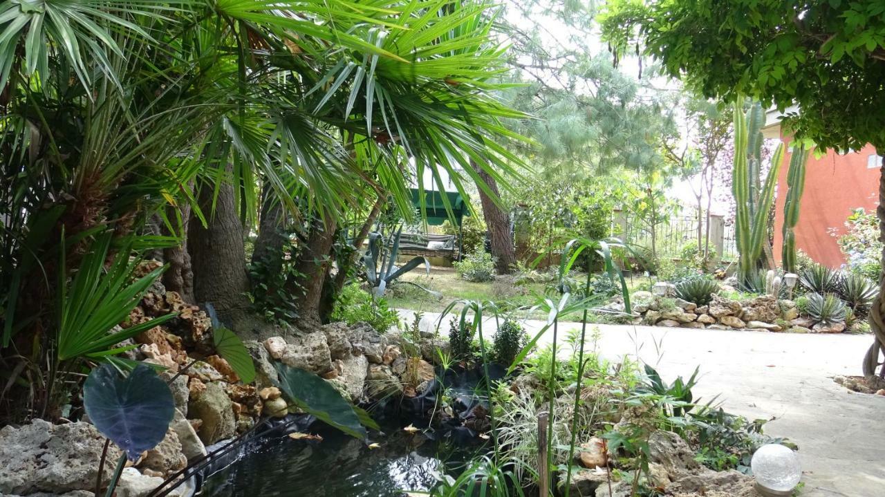 مبيت وإفطار سان جيوفانّي تْيَتينو Garden Fuorirotta المظهر الخارجي الصورة