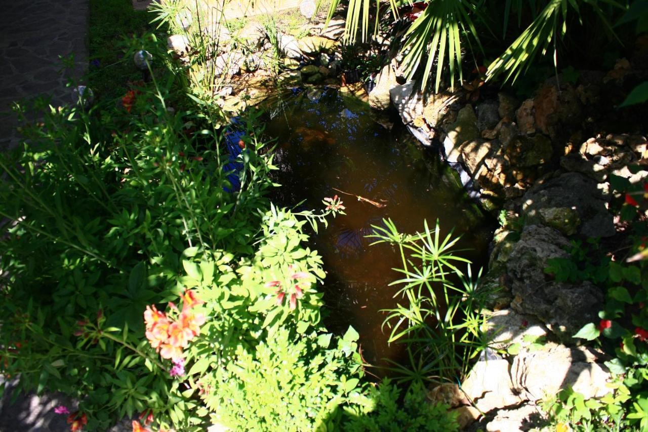 مبيت وإفطار سان جيوفانّي تْيَتينو Garden Fuorirotta المظهر الخارجي الصورة